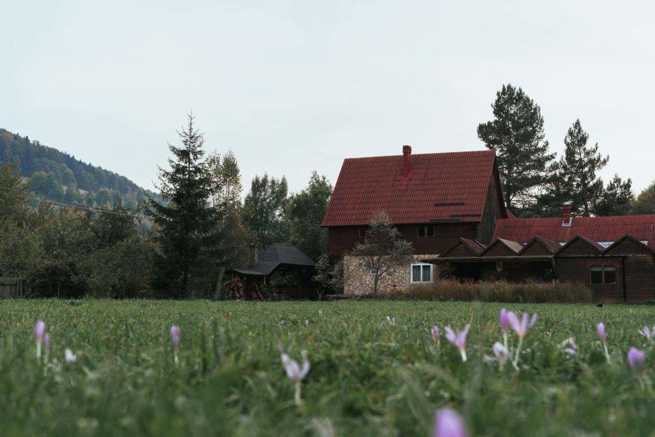 Pensiunea Poiana De Vis Сучевица Экстерьер фото