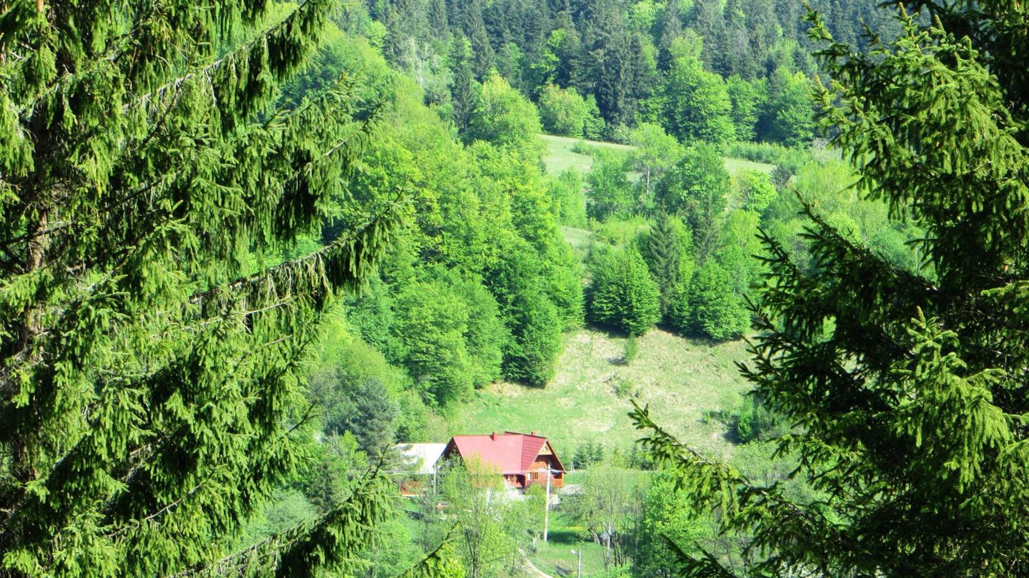 Pensiunea Poiana De Vis Сучевица Экстерьер фото