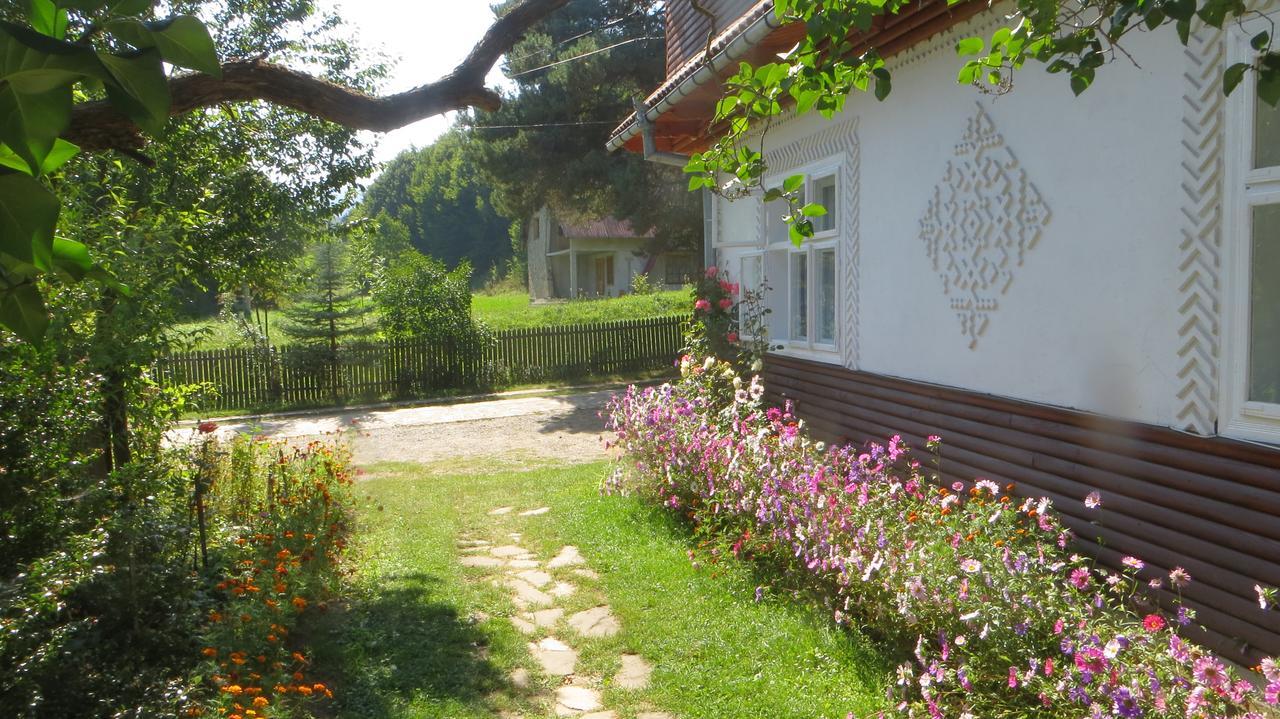 Pensiunea Poiana De Vis Сучевица Экстерьер фото